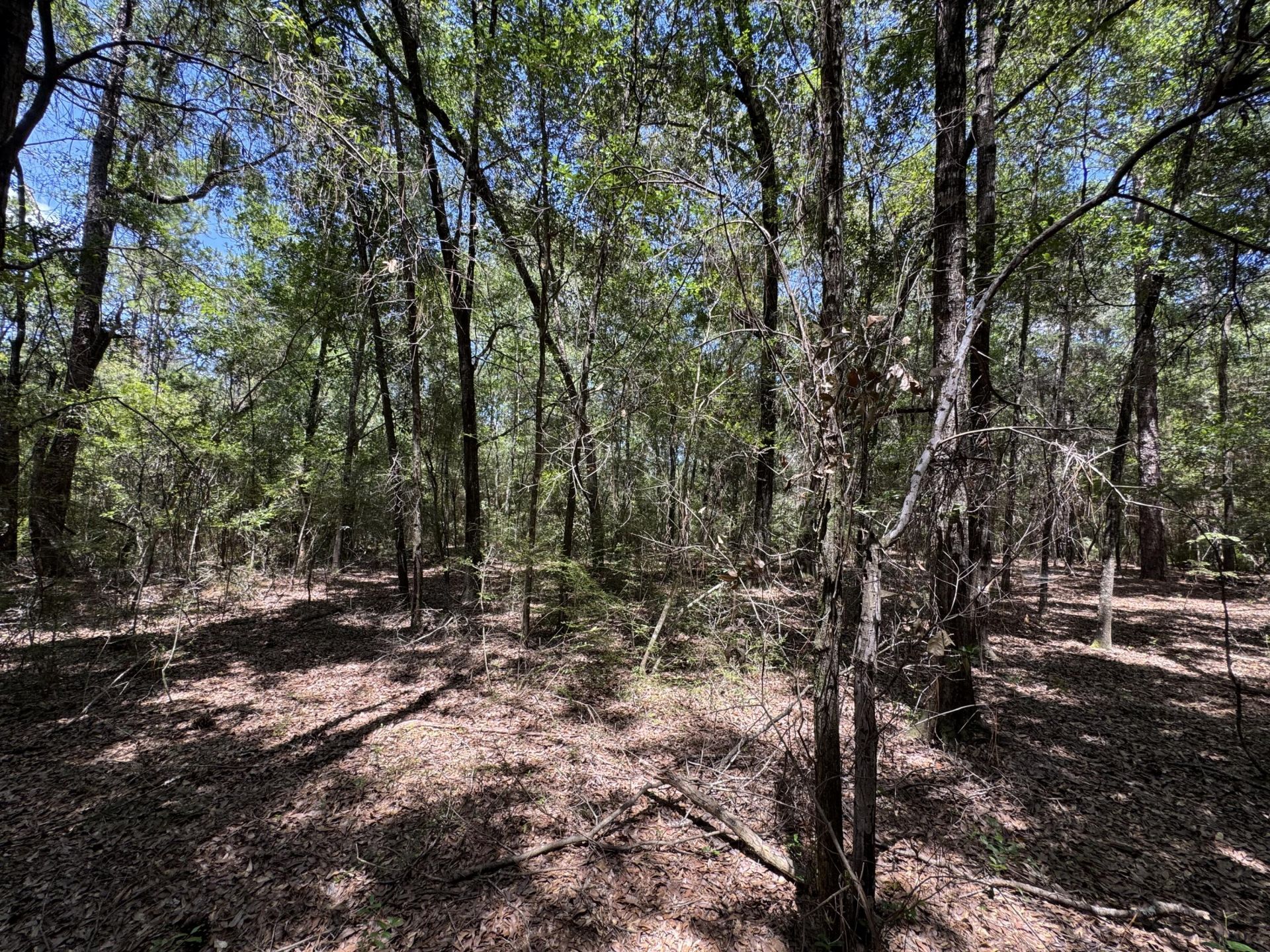 2744-2748 Little John Lane, Bonifay, FL 32425 Photo
