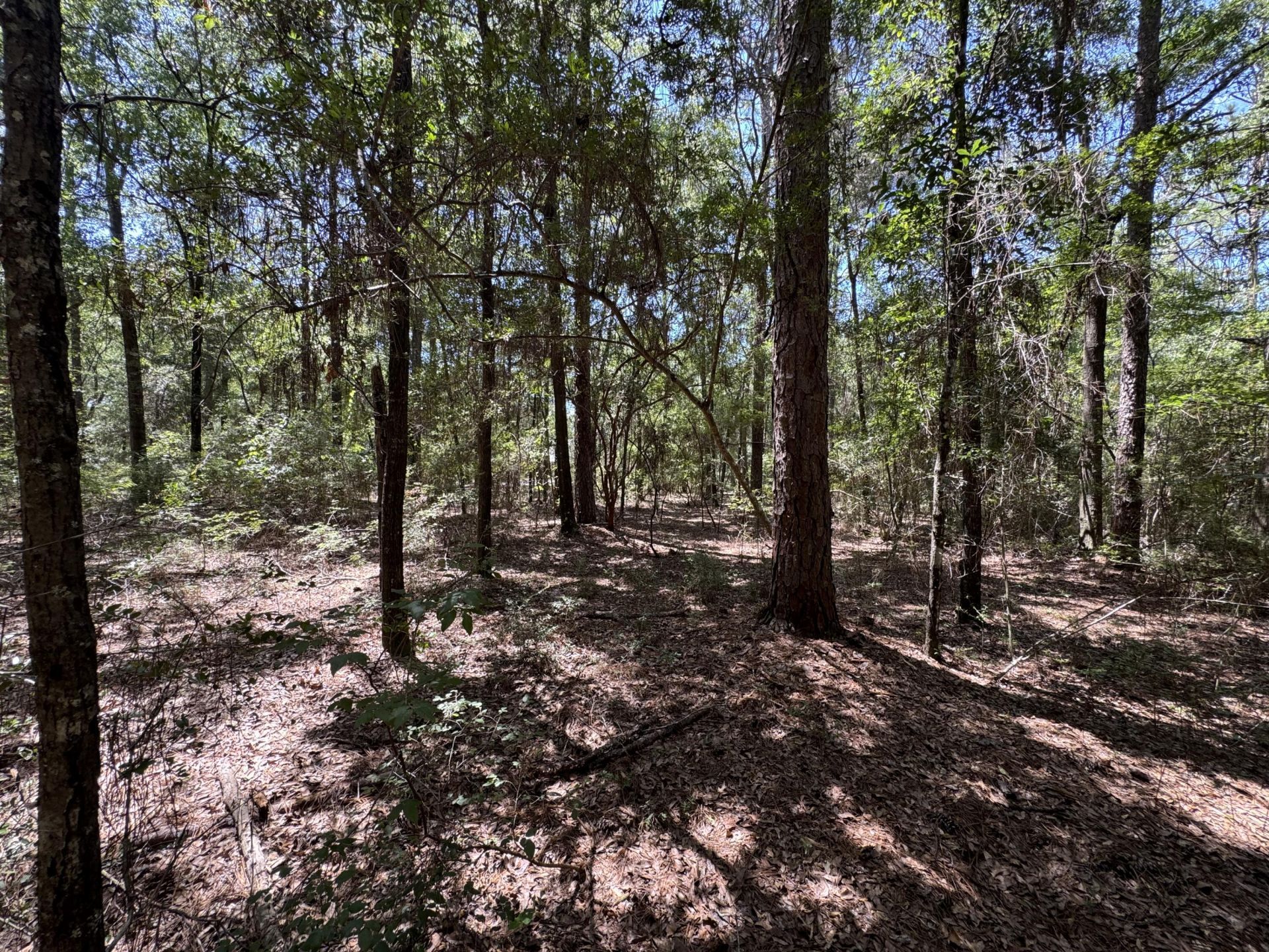 2744-2748 Little John Lane, Bonifay, FL 32425 Photo