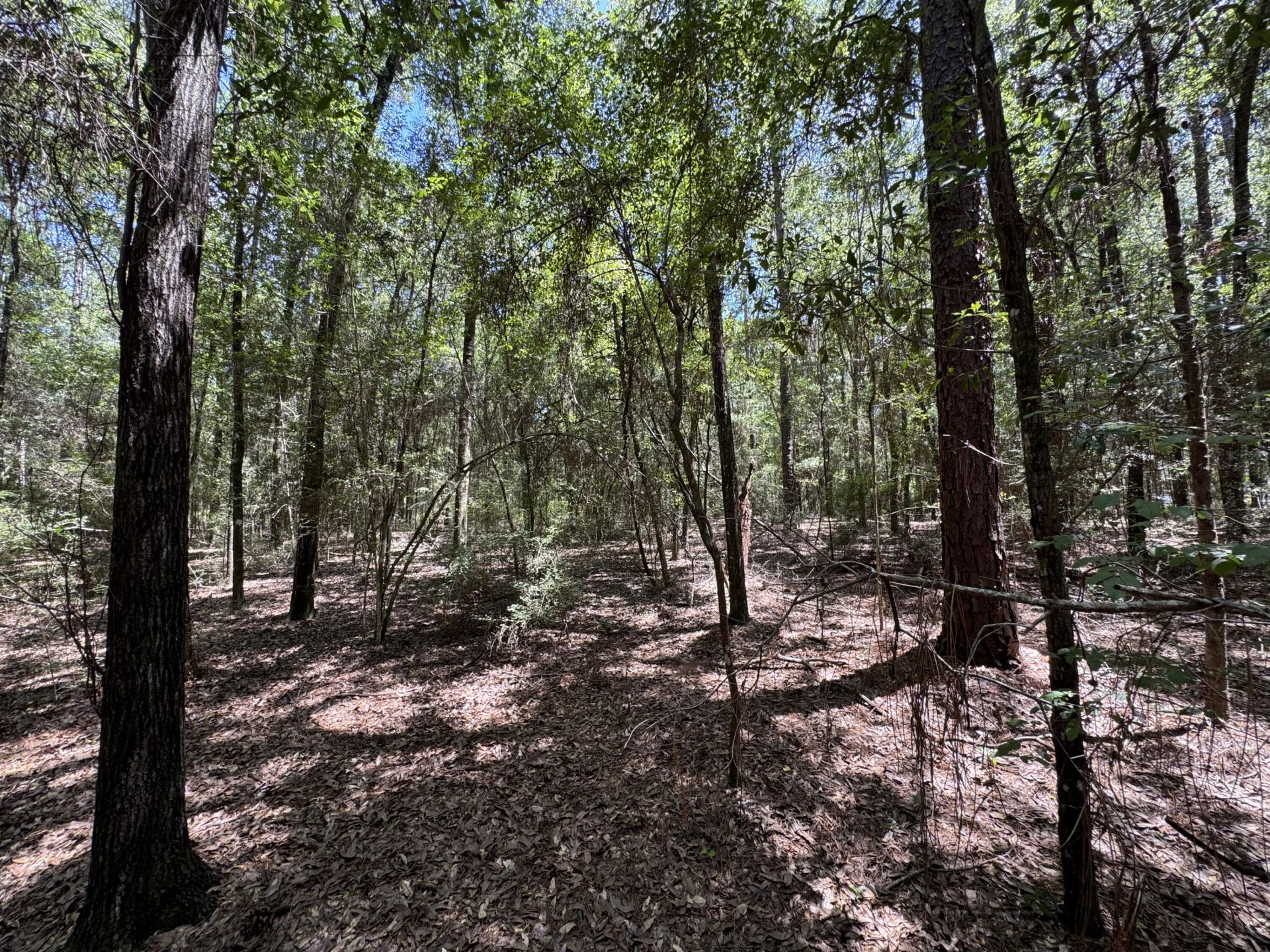 2744-2748 Little John Lane, Bonifay, FL 32425 Photo