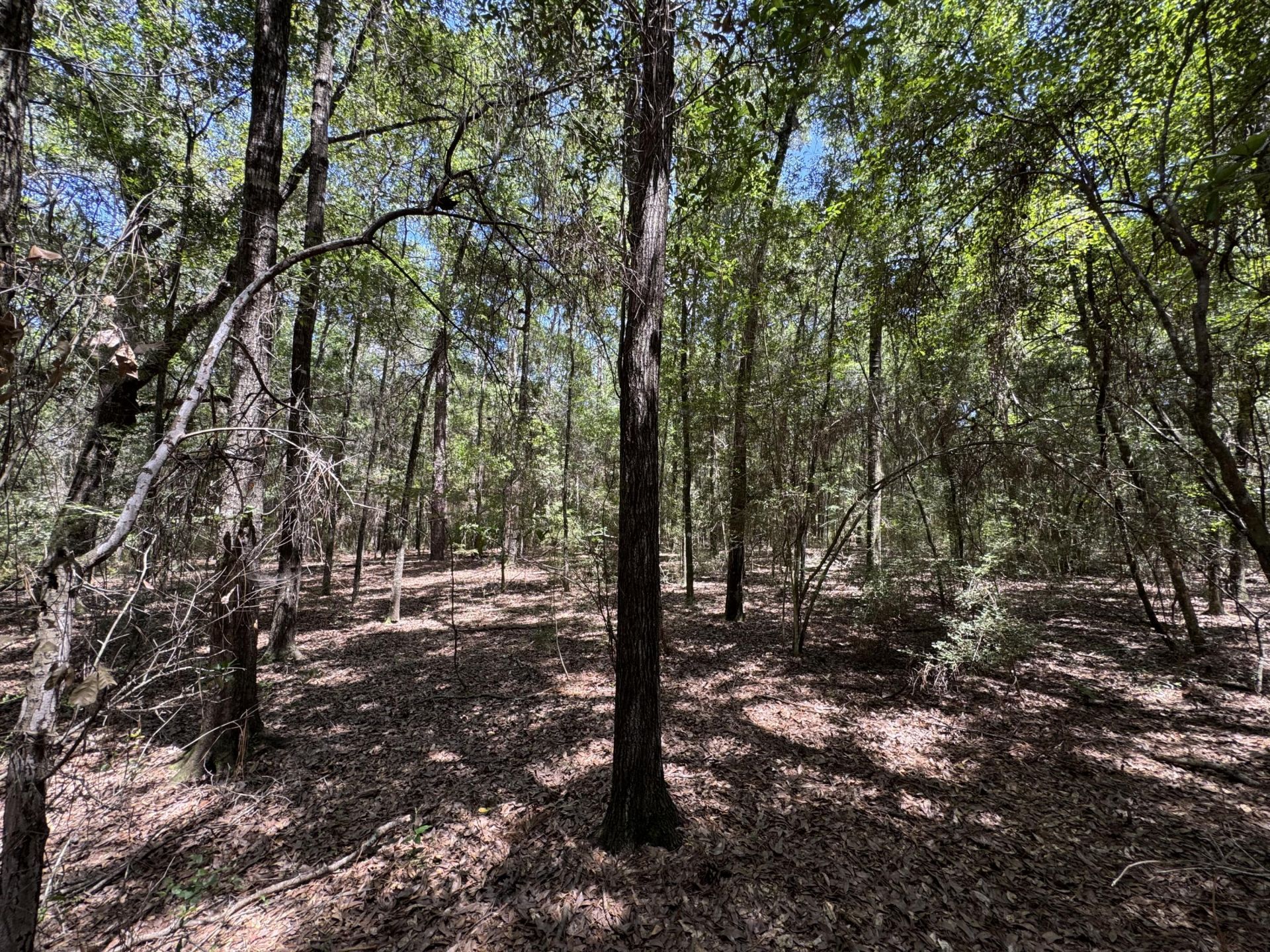 2744-2748 Little John Lane, Bonifay, FL 32425 Photo