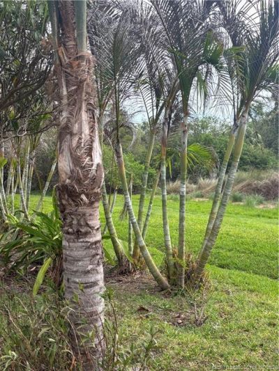 1509 SE Belcrest Street, Port Saint Lucie, FL 34952 Photo