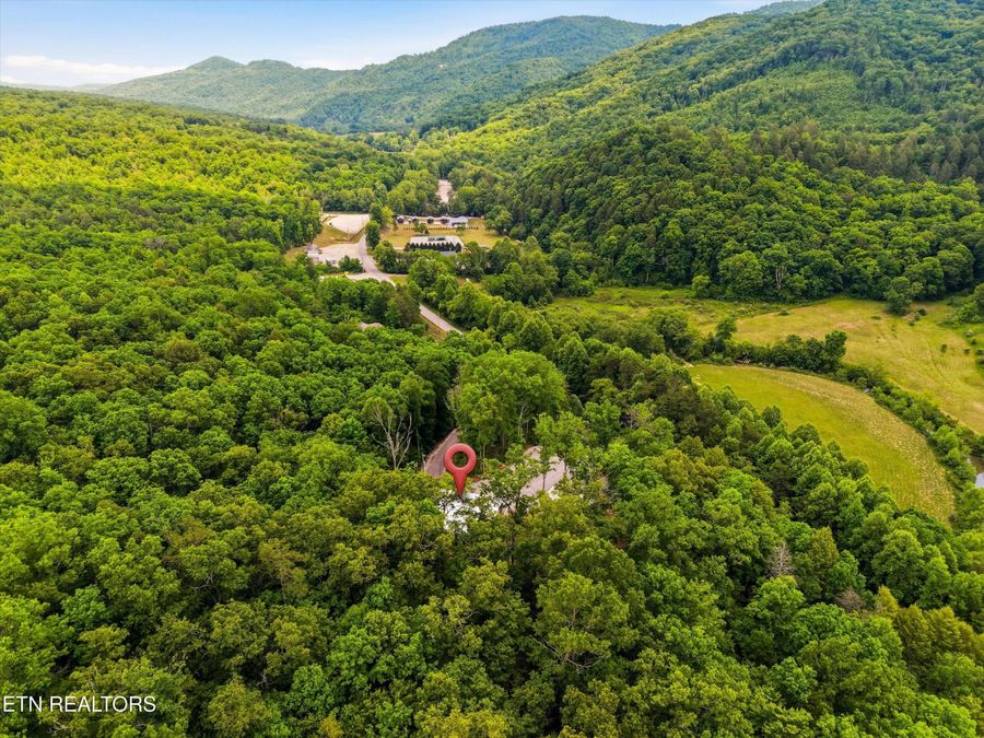 Property Image 45