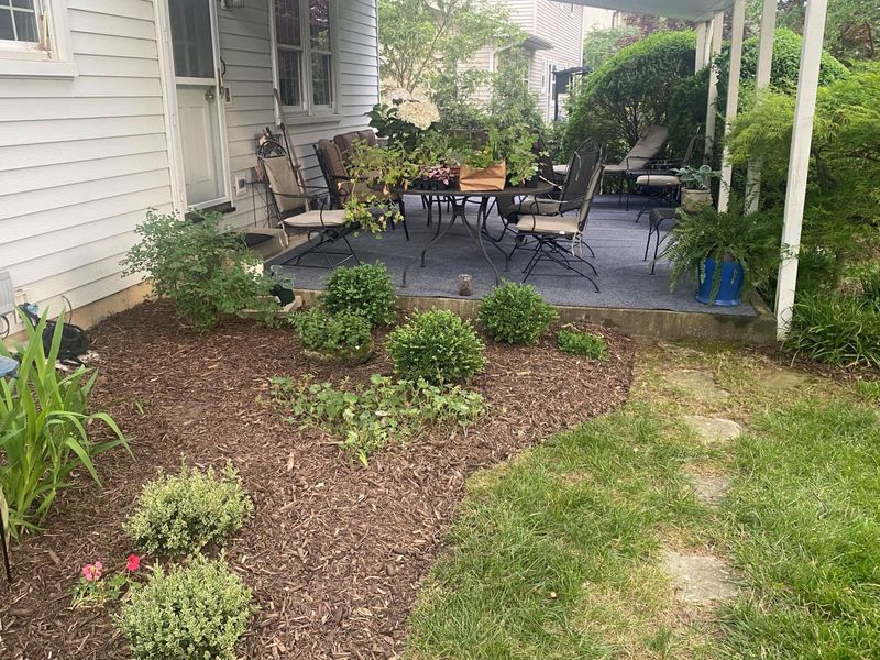 7067 Rieber Street, Worthington, OH 43085 Photo 60