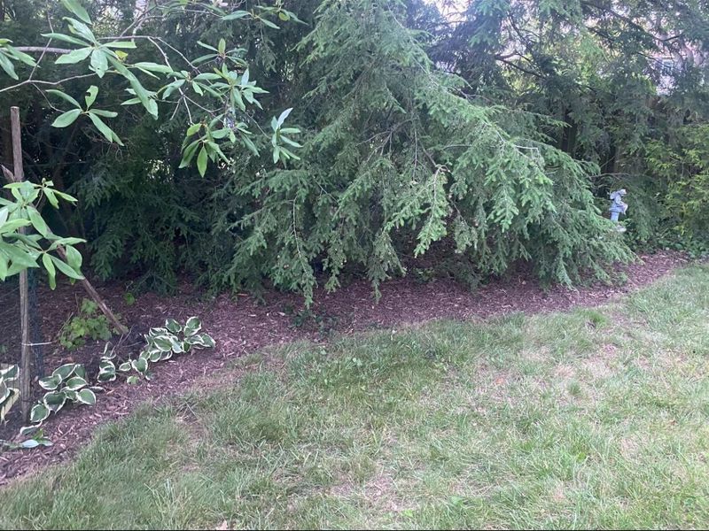 7067 Rieber Street, Worthington, OH 43085 Photo 62