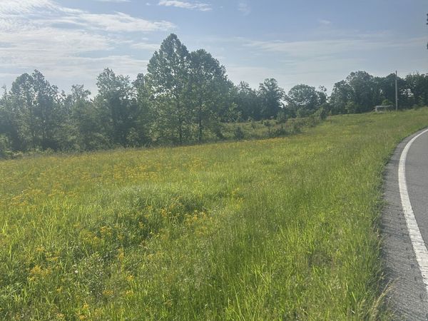 2047 Buffalo Rd , Unit TRK 2, Hohenwald, TN 38462