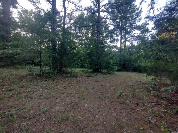 Tract 3 Alamo DR , Mountain View, AR 72560