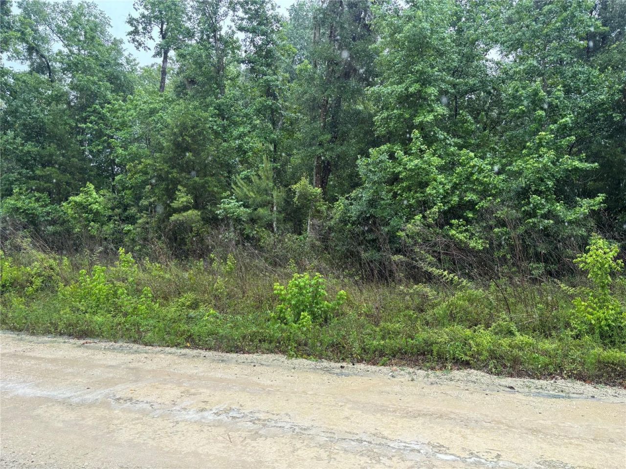 0000 SW 7th Lane , Ocala, FL 34481 Photo