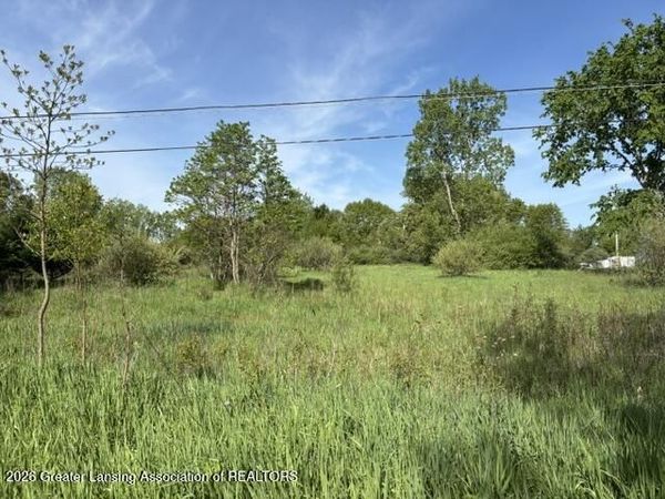 Vl Ann Drive, Bath, MI 48808