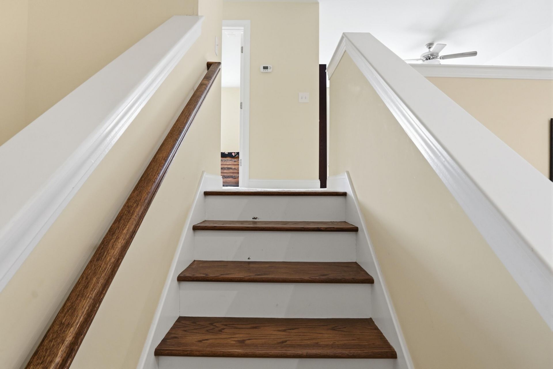 135 Brutus Lane Photo 47