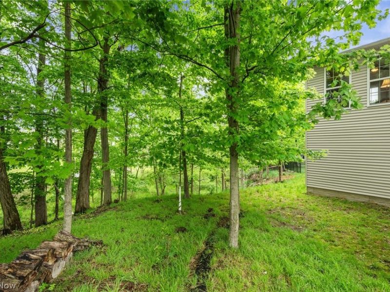 12554 Meadowview Drive, North Royalton, OH 44133 Photo 45
