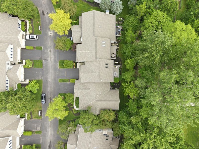 340 Buck Run Trail, Westerville, OH 43082 Photo 60