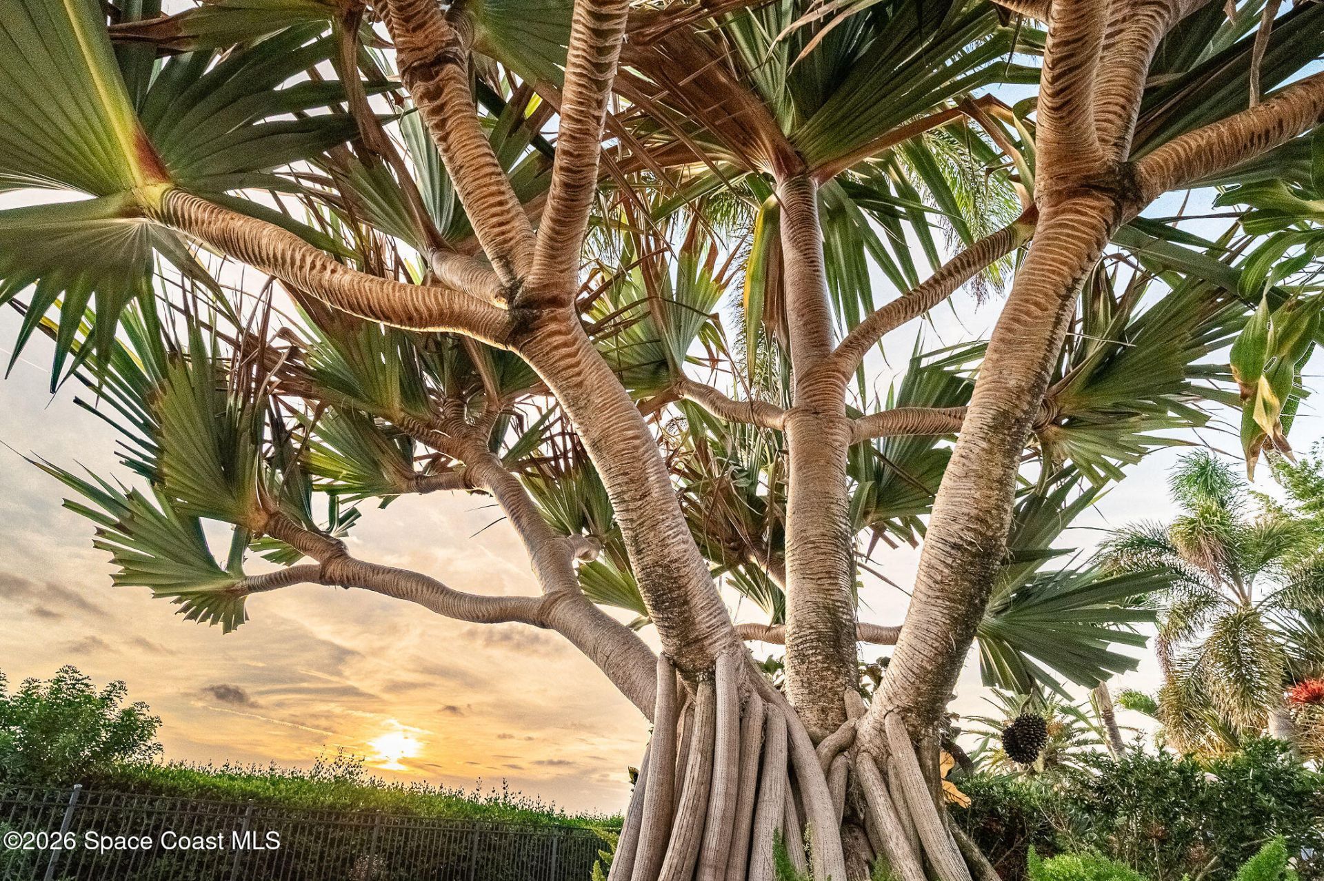 281 Lansing Island Drive, Satellite Beach, FL 32937 Photo