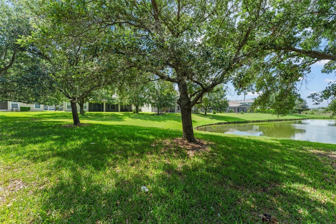 4548 Blue Major Drive , Windermere, FL 34786 Photo