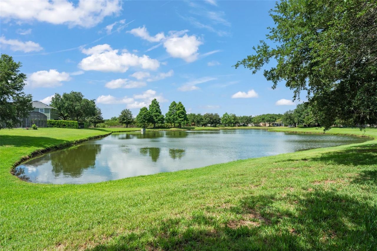 4548 Blue Major Drive , Windermere, FL 34786 Photo