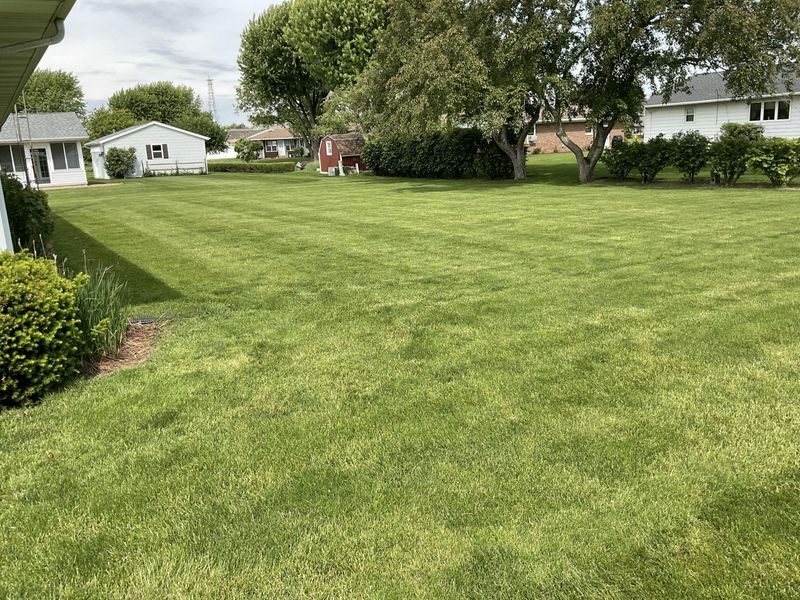 204 Warren Street, Botkins, OH 45306 Photo 5