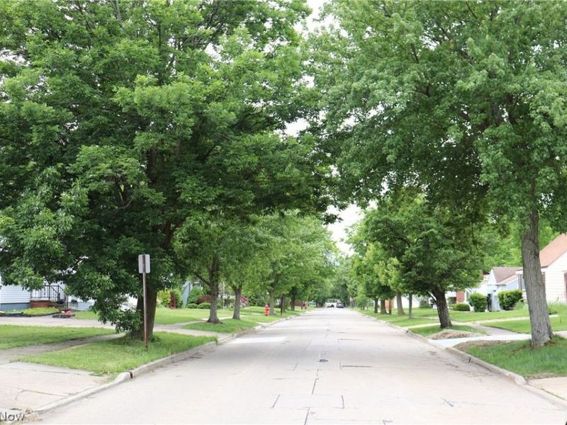 181 John Street, Bedford, OH 44146 Photo 19