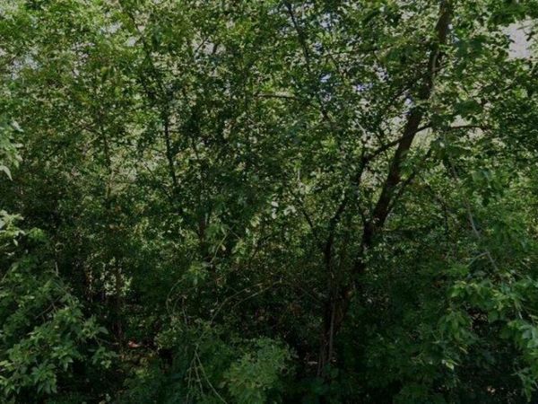 22172 W Spruce Drive , Antioch, IL 60002