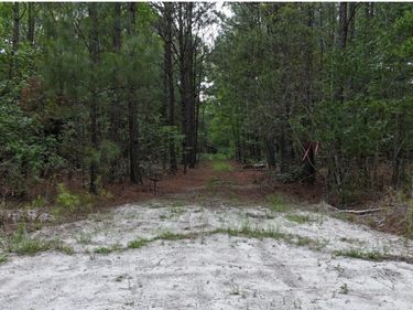 0 Duck Pond Road, Sylvania, GA 30467