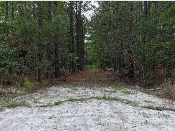 0 Duck Pond Road, Sylvania, GA 30467