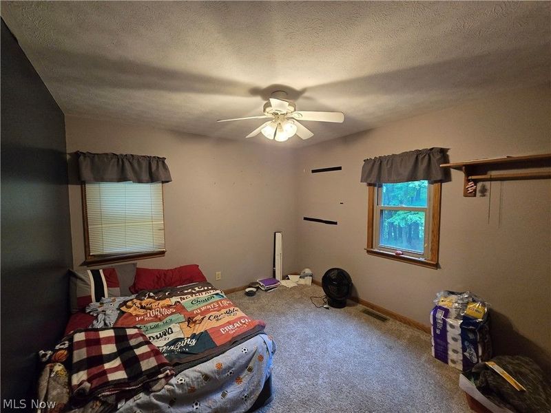 5209 Hanson Hill Road, Stockport, OH 43787 Photo 20