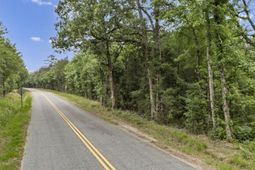 0 Bark Avenue  photo 4