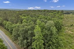 0 Bark Avenue  photo 4