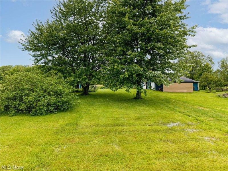 18746 Baird Road, Wellington, OH 44090 Photo 23