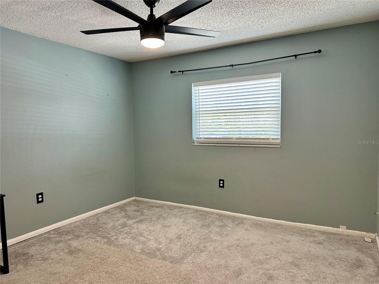 350 79th Avenue N, Unit 142, Saint Petersburg, FL 33702 Photo