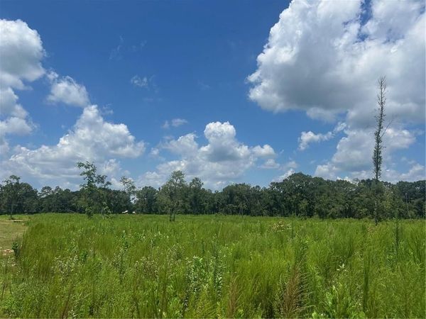 0 Lundy Road , Theodore, AL 36582