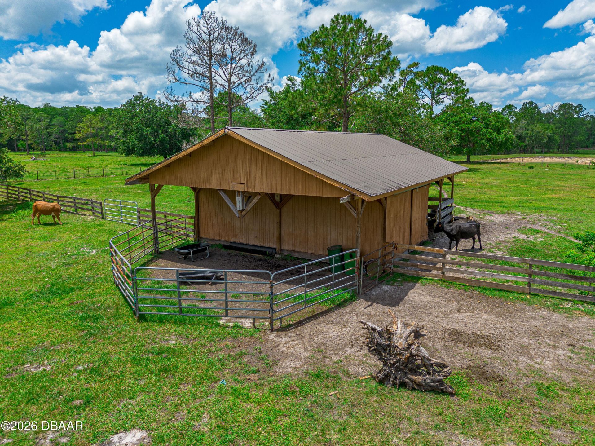 1140 Saddle Run, New Smyrna Beach, FL 32168 Photo