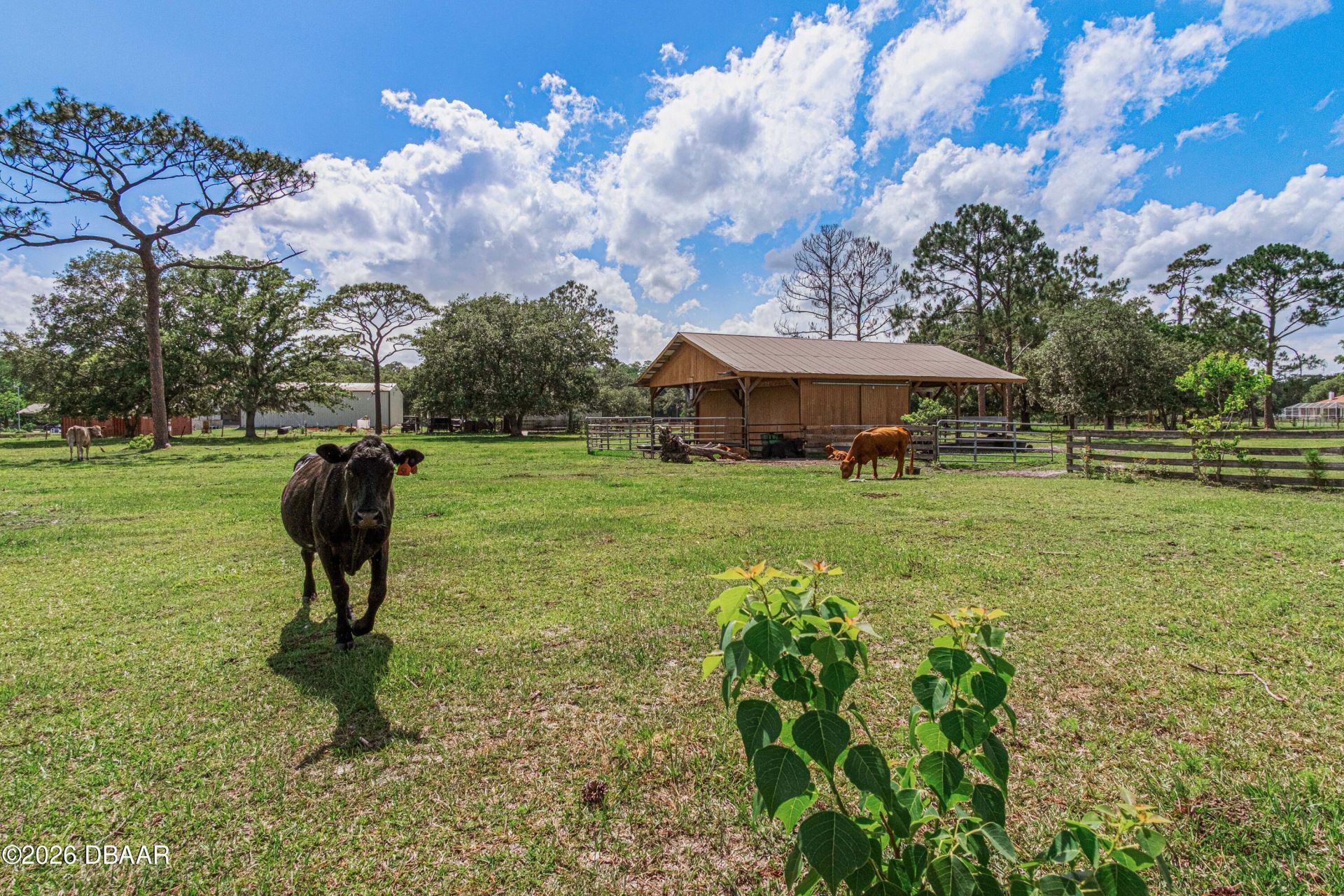 1140 Saddle Run, New Smyrna Beach, FL 32168 Photo