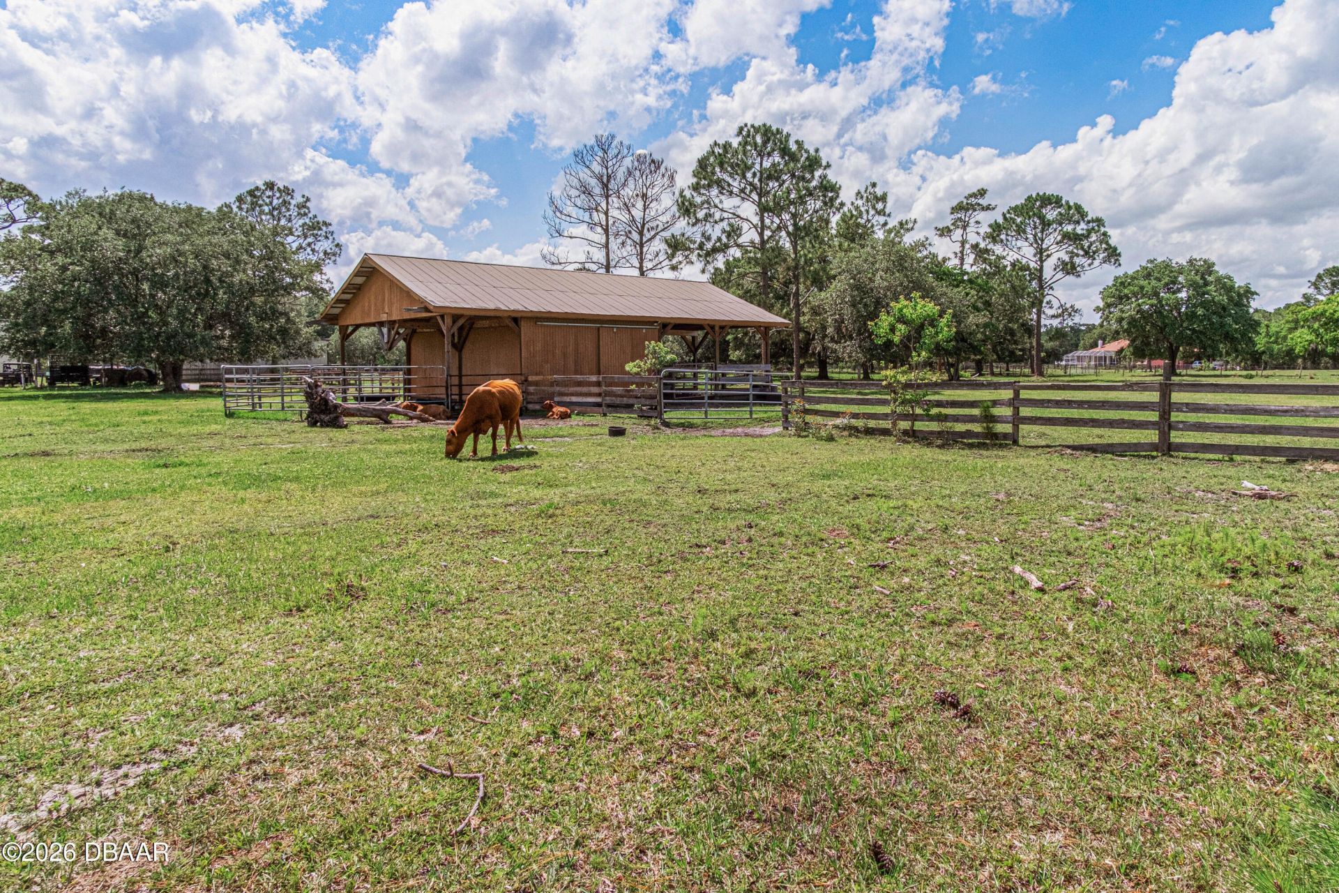 1140 Saddle Run, New Smyrna Beach, FL 32168 Photo