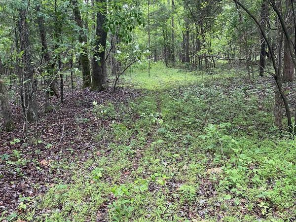 10 acres county road 326, Jonesboro, AR 72401
