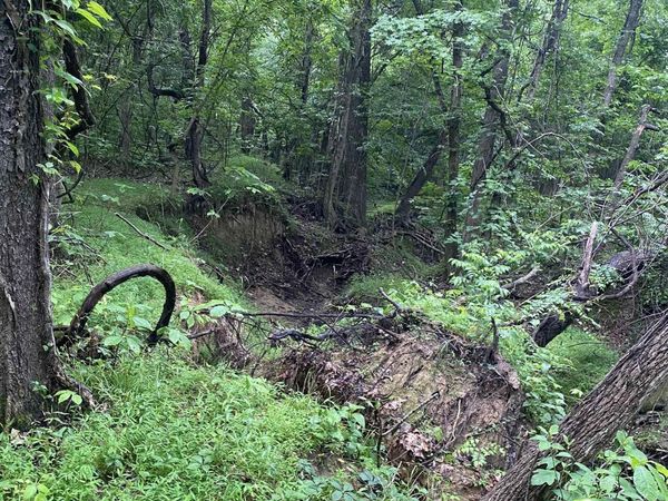 10 acres county road 326, Jonesboro, AR 72401