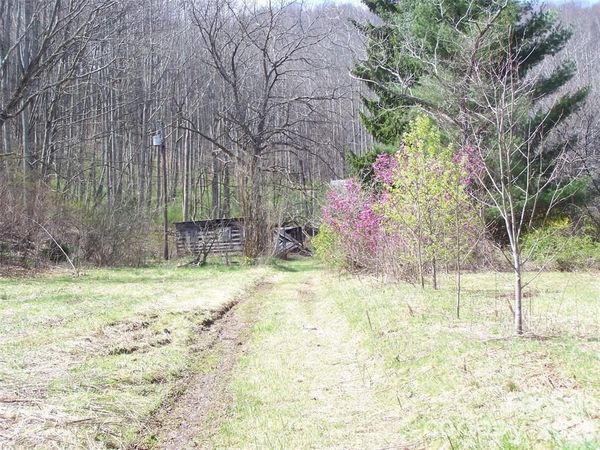 58 Collier Lane, Waynesville, NC 28786