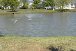 649 Wilshire Ln.  photo 4