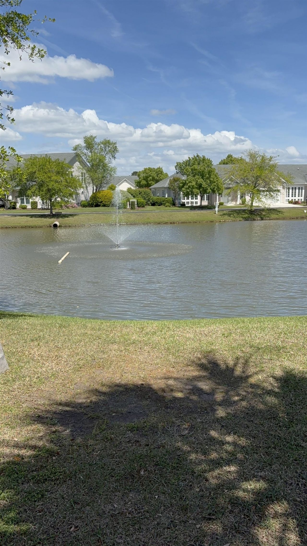649 Wilshire Ln.  Photo 4