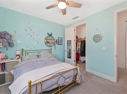 9960 Ted Kolb Way, Elk Grove, CA 95624 Photo