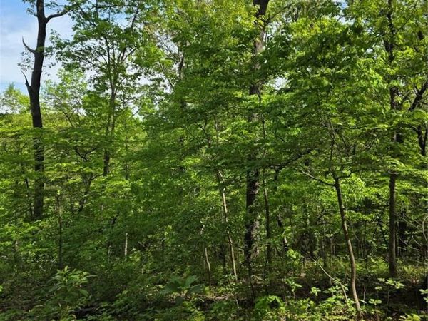 TBD Broken Circle Road , Stover, MO 65078