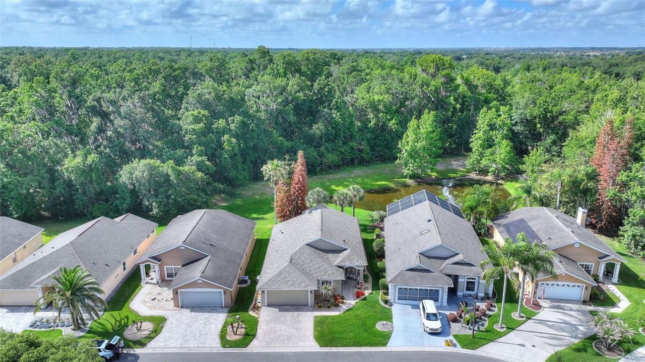 315 Ridge View Dr , Davenport, FL 33837 Photo