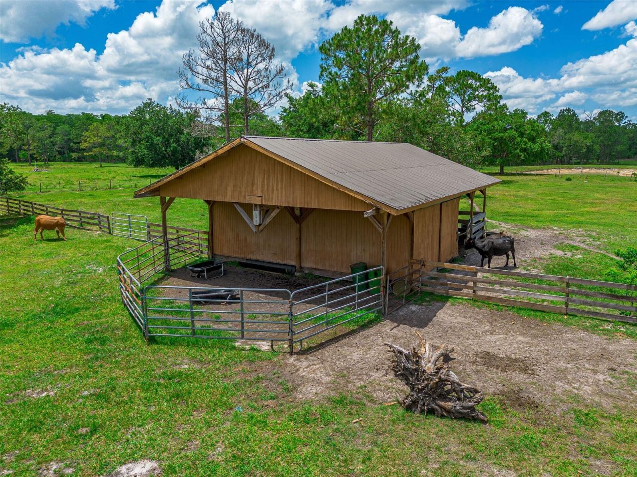 1140 Saddle Run, New Smyrna Beach, FL 32168 Photo