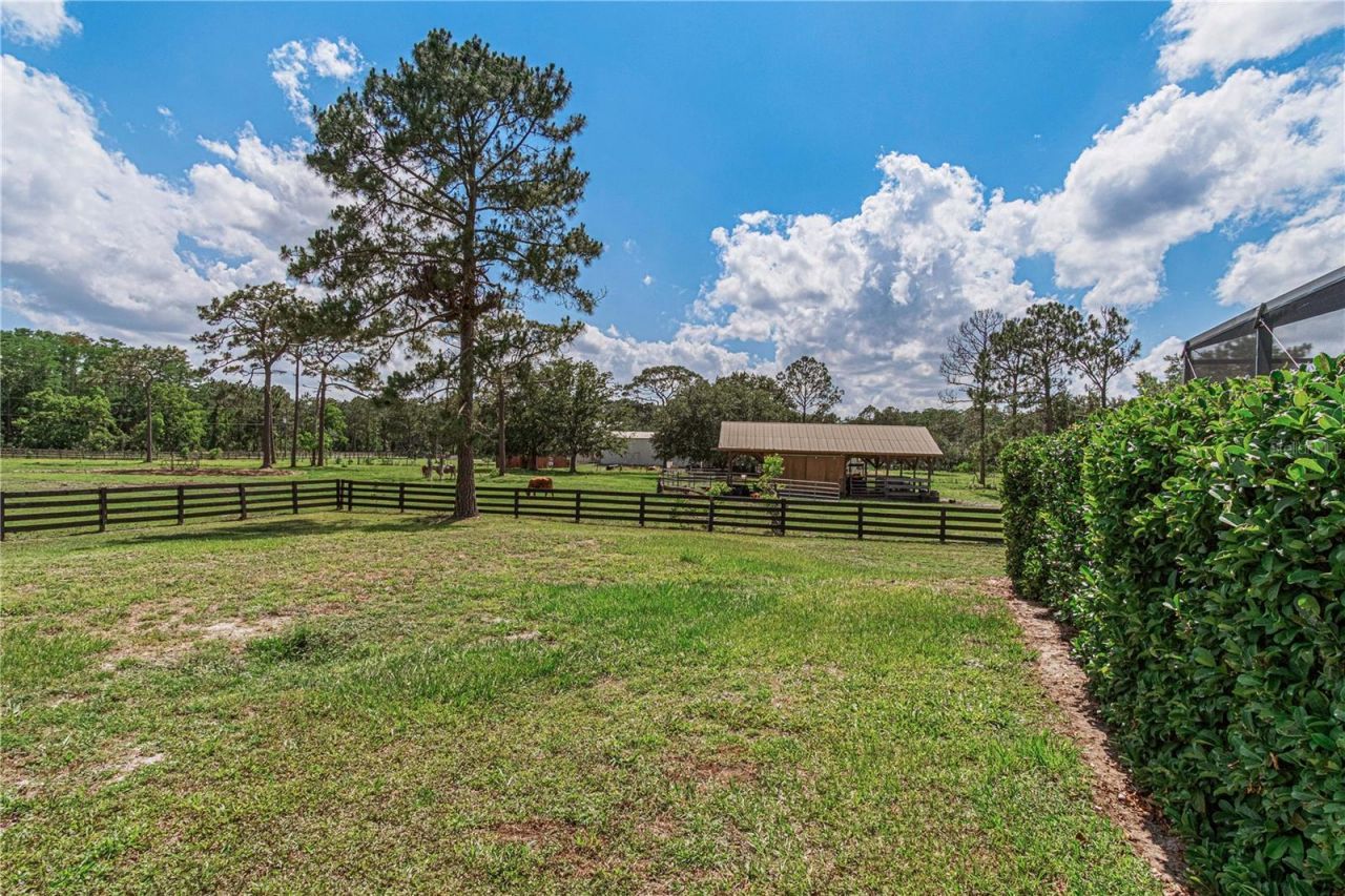 1140 Saddle Run, New Smyrna Beach, FL 32168 Photo