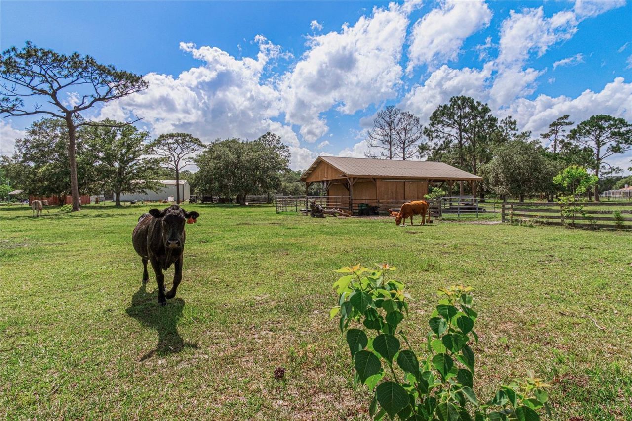 1140 Saddle Run, New Smyrna Beach, FL 32168 Photo