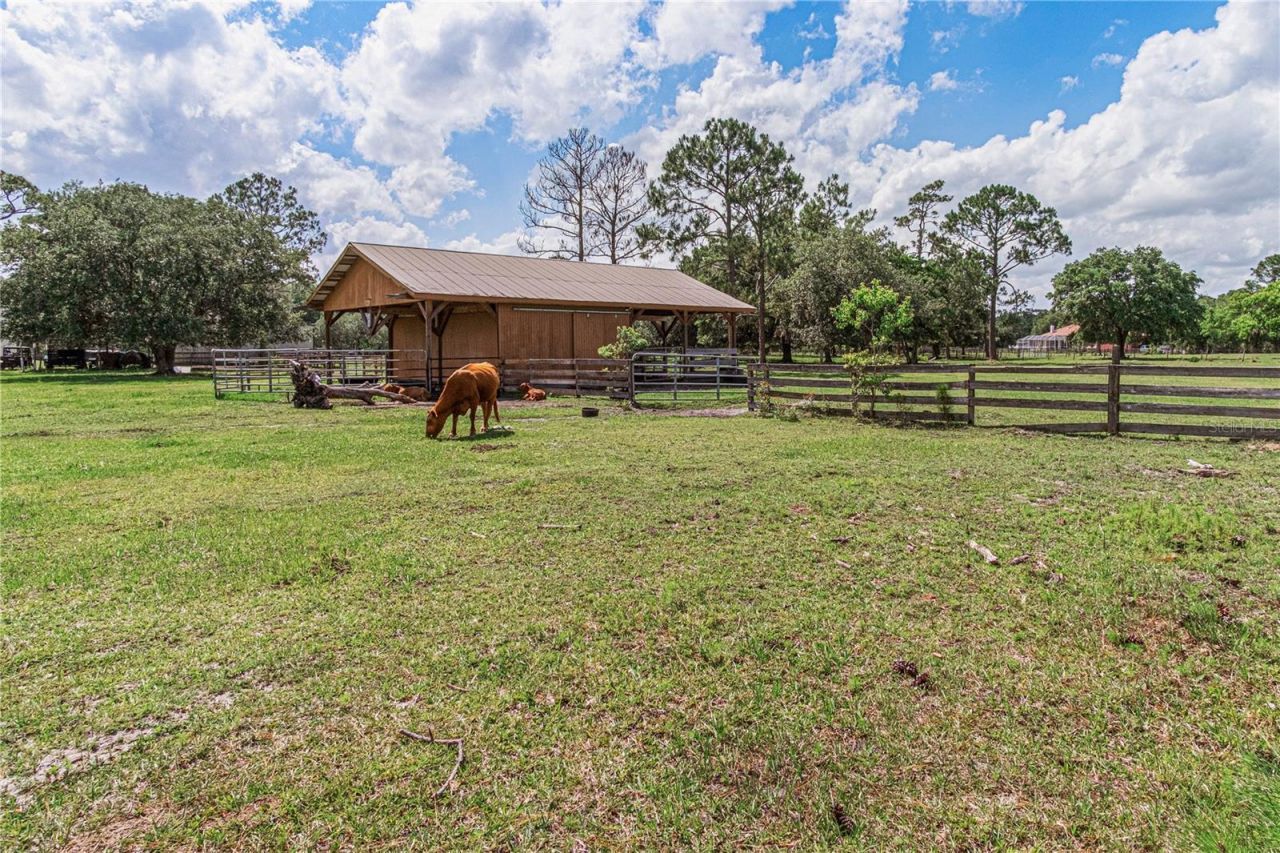 1140 Saddle Run, New Smyrna Beach, FL 32168 Photo