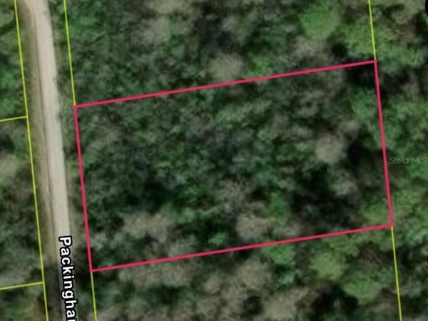 PACKINGHAM DR, LOT 10 , WEBSTER, FL 33597