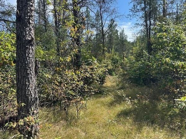 36.34 Ac Retirement Lane, Necedah, WI 54646
