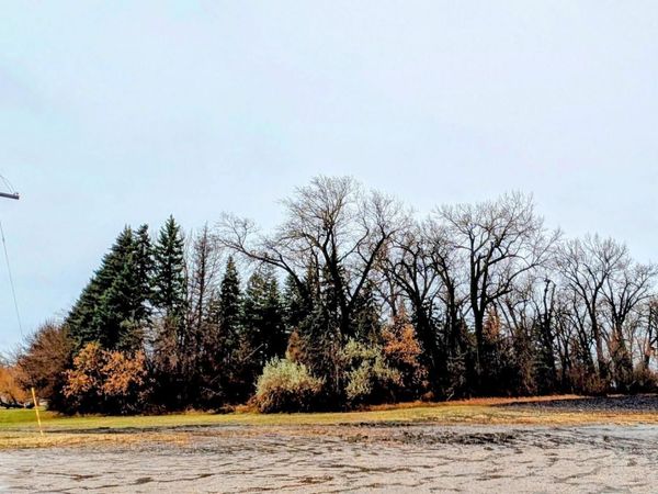 TBD Main , Saint Thomas, ND 58276