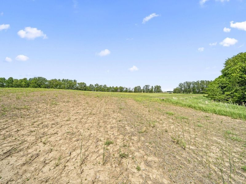 Tract 4 Ford Reed Rd , Richwood, OH 43344 Photo 8