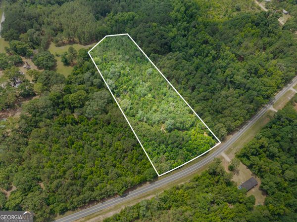 0 Mt Pleasant Road, Claxton, GA 30415