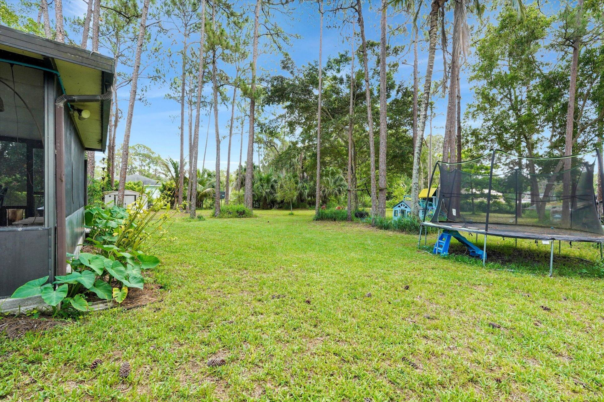 14844 N 63rd Ct Court N, The Acreage, FL 33470 Photo